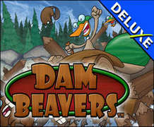 Dam Beavers