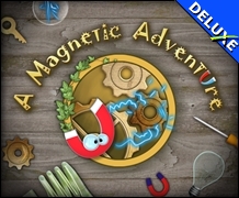 A Magnetic Adventure