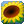 Sunshine Acres Deluxe