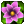 Flower Paradise Deluxe Flower Paradise Deluxe