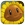 Download Double Pack Plants vs Zombies Insaniquarium