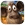 Safari Quest