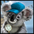 Big City Adventure Sydney Deluxe