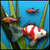 FishCo Deluxe