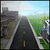 Plan It Green Deluxe