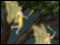 Fairy Treasure Deluxe