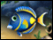 Fishdom