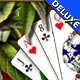 House of Cards Deluxe