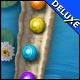 Splash Deluxe