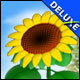 Sunshine Acres Deluxe