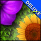 Flower Paradise Deluxe