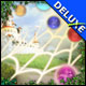 Rainbow Web Bundle