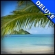 Vacation Quest - The Hawaiian Islands Deluxe