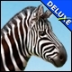 Gourmania 3 - Zoo Zoom