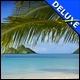 Double Pack Vacation Quest