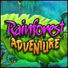 Rainforest Adventure