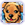 Doggie Dash