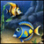 Fishdom