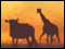 Adventure Inlay Safari Edition