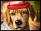 Dress-Up Pups