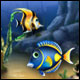 Fishdom