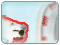 Polar Bear Bounce